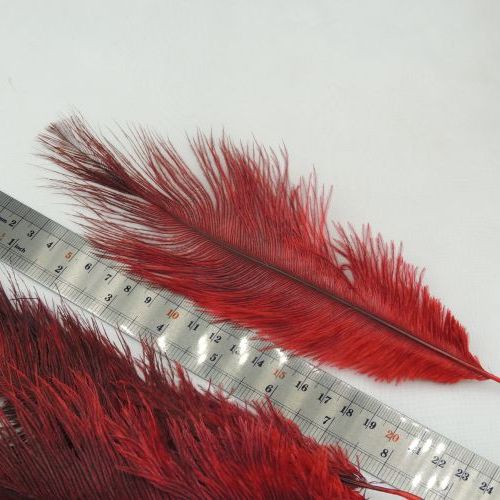 تصویر پر سوزنی دانه ای
متوسط