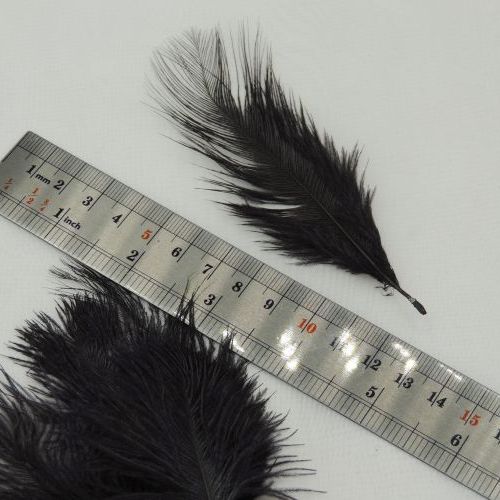 تصویر پر سوزنی دانه ای کوچک