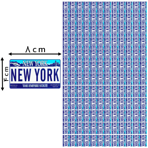 دی تی اف یک متری new york